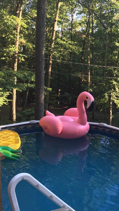 Pocono Cabin With Private Pool At Shawnee Mtn East Stroudsburg Exterior foto